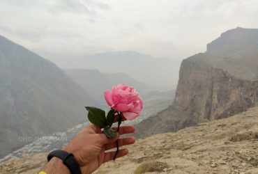 گل رز و کوهستان